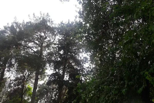 Ceylanpınar Gençlik Parkı - Resim 14
