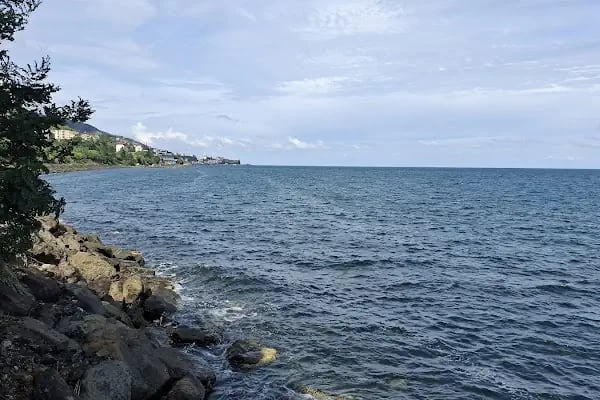 LAUSS Cafe &amp; Lounge - Resim 9