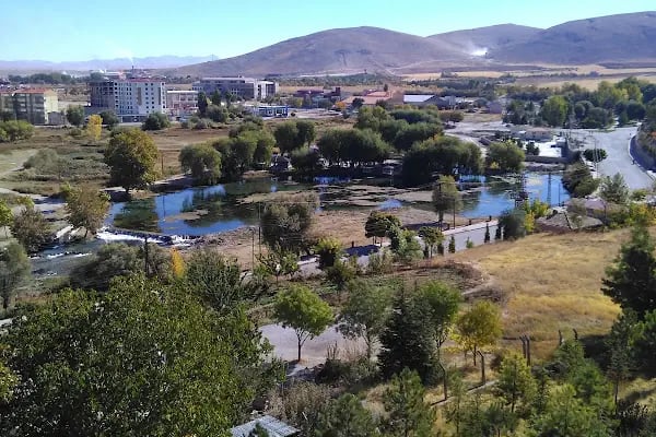 Afşin Elbistan Linyitler İlkokulu - Resim 15