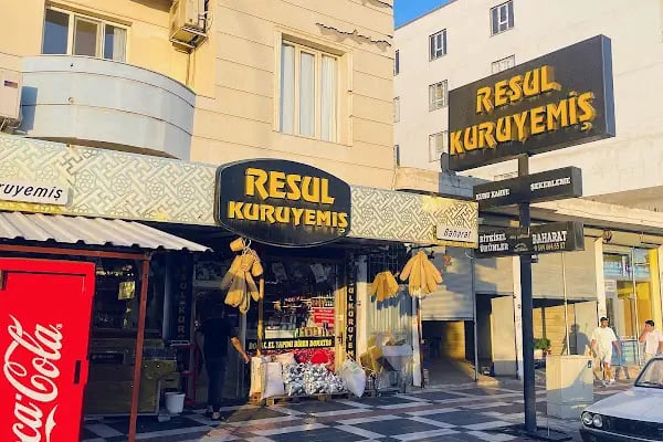 Resul Kuruyemiş - Resim 2