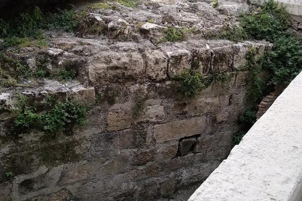 Eski Vilayet Veteriner Kliniği - Resim 17
