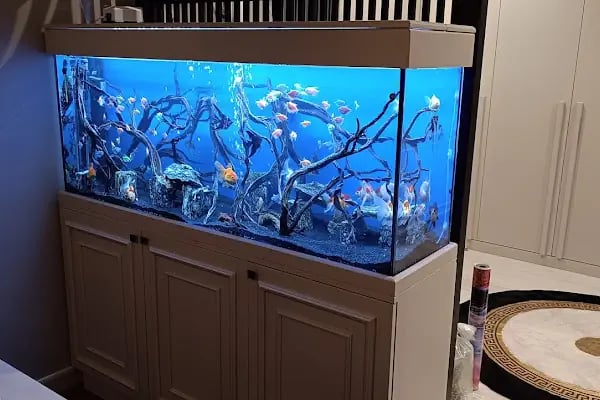 Doğa Pet Shop - Resim 16