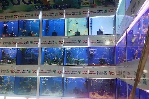 Doğa Pet Shop - Resim 8