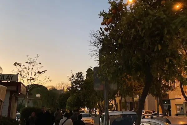 Aydın Kızılay Kan Bağışı Merkezi - Resim 7