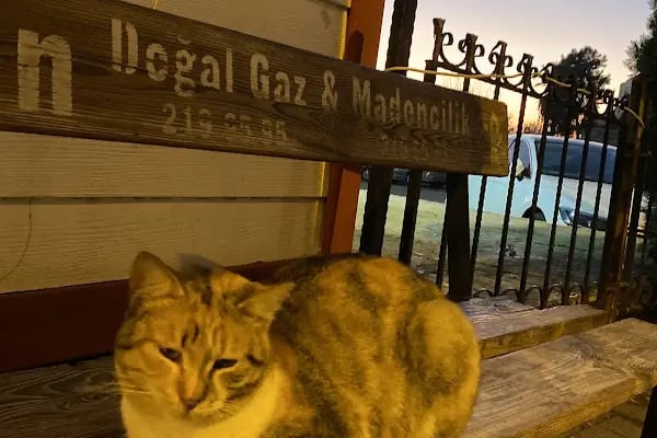 Aydın Kızılay Kan Bağışı Merkezi - Resim 15