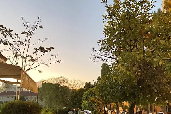 Aydın Kızılay Kan Bağışı Merkezi - Resim 5