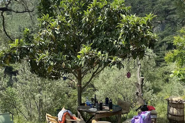 Oli Camping &amp; Bungalows - Resim 11