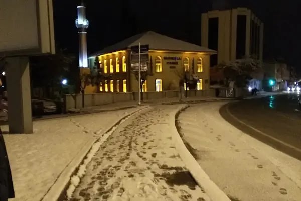 Sarıkışla Cami - Resim 14