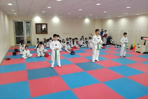 Altındağ Belediyesi Kapalı Spor Salonu - Resim 2