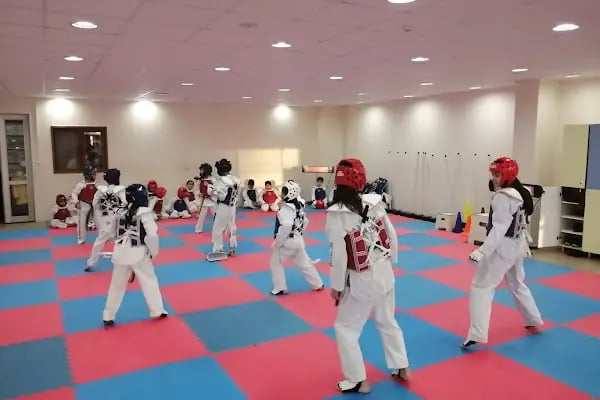 Altındağ Belediyesi Kapalı Spor Salonu - Resim 17