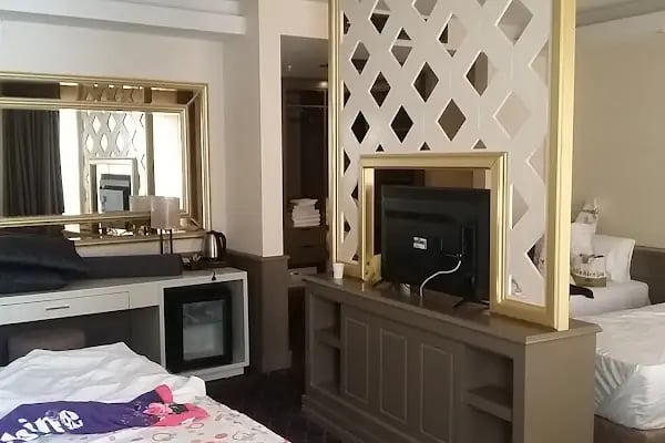 Yalova Thermal Palace - Resim 2