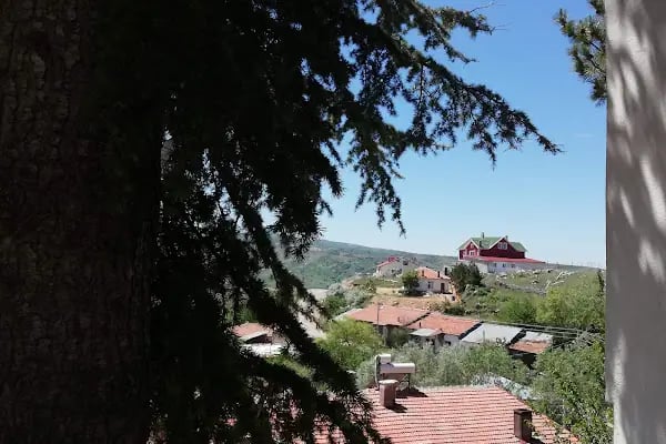 Çamköy Cami - Resim 6