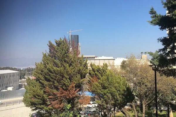 Dokuz Eylül Vergi Dairesi - Resim 20