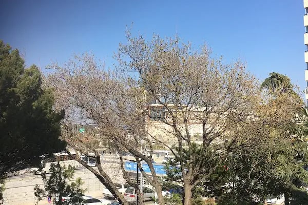 Dokuz Eylül Vergi Dairesi - Resim 2