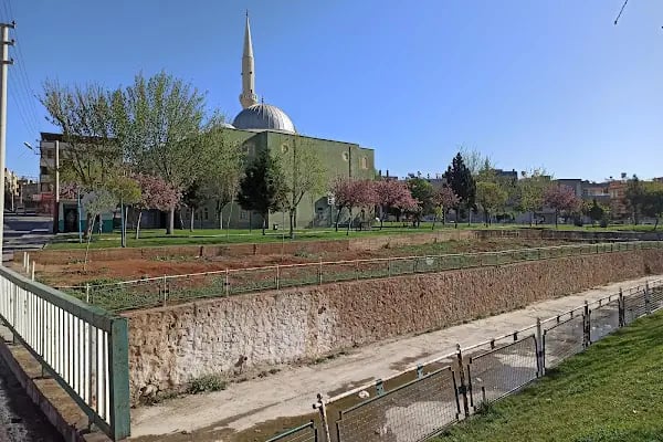 Yıldız Plaza Düğün Sarayı - Resim 16