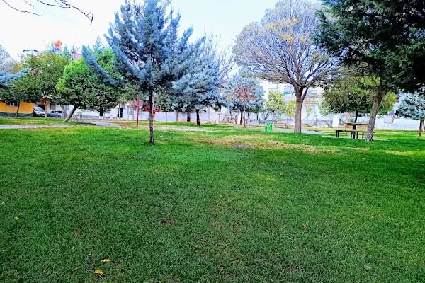 Yıldız Plaza Düğün Sarayı - Resim 9