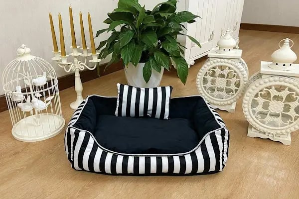 Paticim Petshop - Resim 12