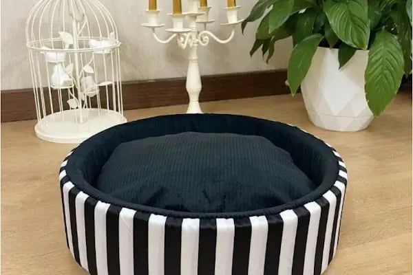 Paticim Petshop - Resim 20