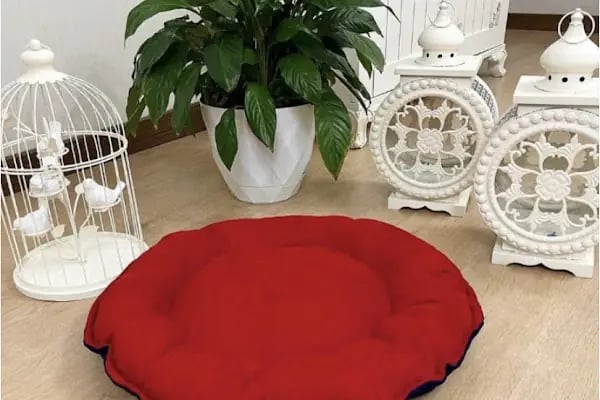 Paticim Petshop - Resim 9
