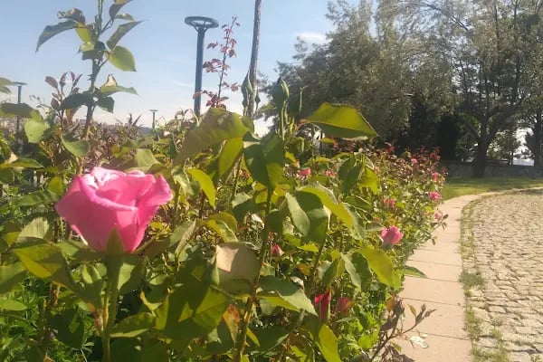 50. Yıl Parkı - Resim 18