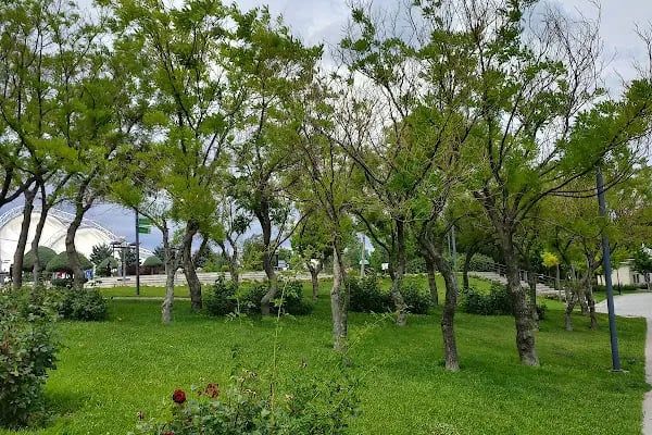 50. Yıl Parkı - Resim 10