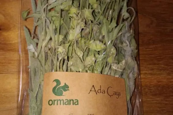 Ormana Active - Resim 7