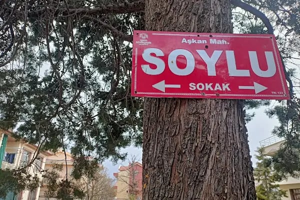 Özel Senkron Bale Müzik Resim ve Sanat Kursu - Resim 5