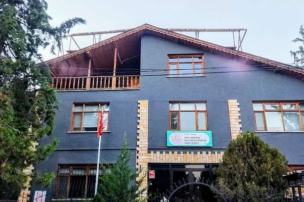 Özel Senkron Bale Müzik Resim ve Sanat Kursu - Resim 8
