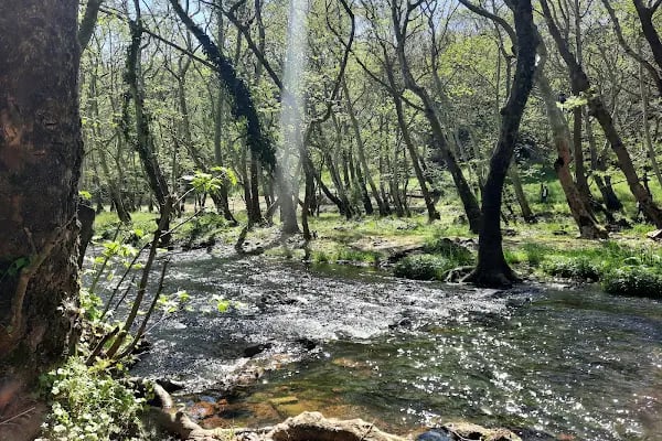 Değirmenboğazı Tabiat Parkı - Resim 14