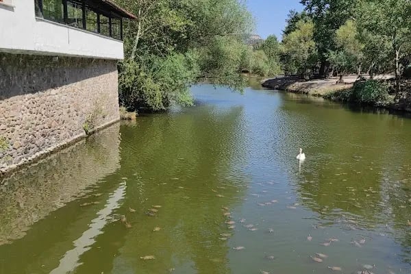 Değirmenboğazı Tabiat Parkı - Resim 11
