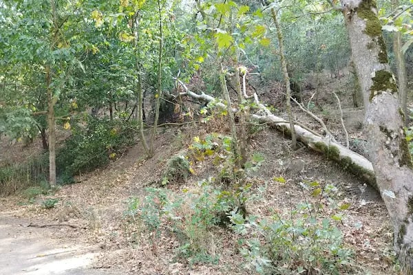 Değirmenboğazı Tabiat Parkı - Resim 18
