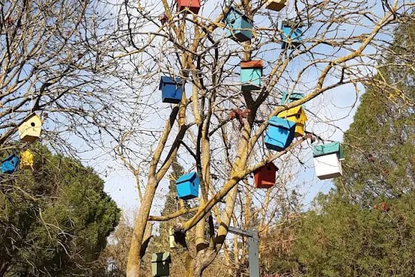 Değirmenboğazı Tabiat Parkı - Resim 12