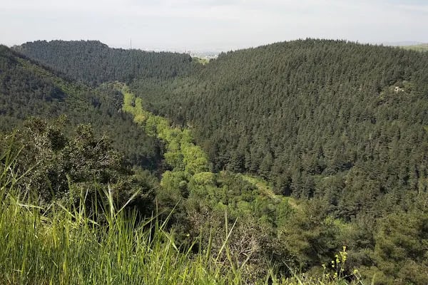 Değirmenboğazı Tabiat Parkı - Resim 13