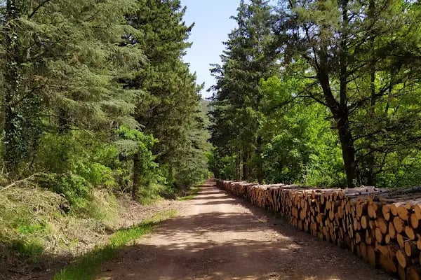 Değirmenboğazı Tabiat Parkı - Resim 7