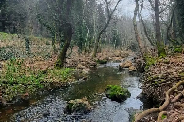 Değirmenboğazı Tabiat Parkı - Resim 15