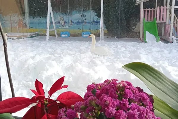 Kuğulu Montessori Okulu - Oran - Resim 9