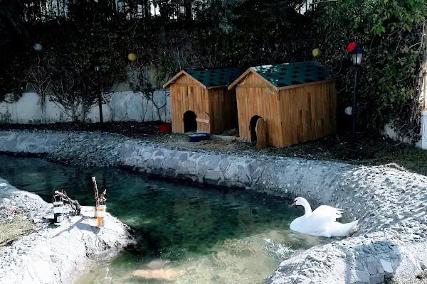 Kuğulu Montessori Okulu - Oran - Resim 14
