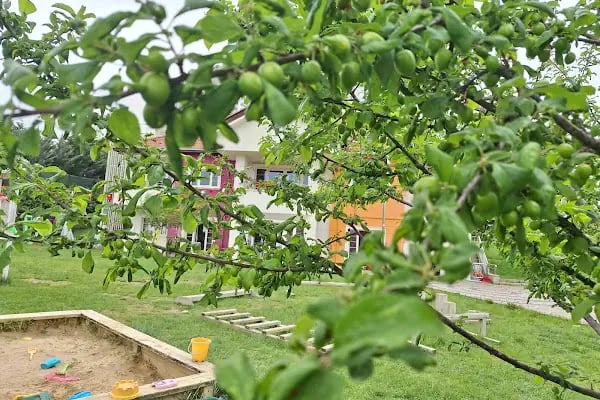 Kuğulu Montessori Okulu - Oran - Resim 20