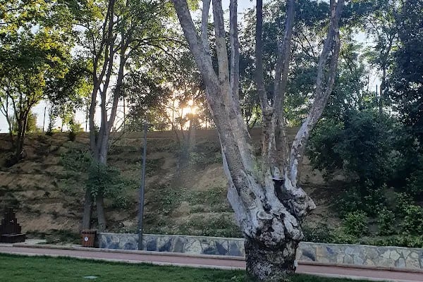Merkezefendi Belediyesi Şemikler Doğal Yaşam Parkı - Resim 19