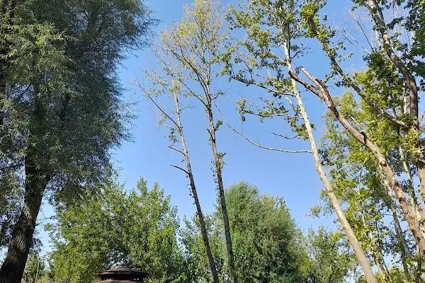 Merkezefendi Belediyesi Şemikler Doğal Yaşam Parkı - Resim 11