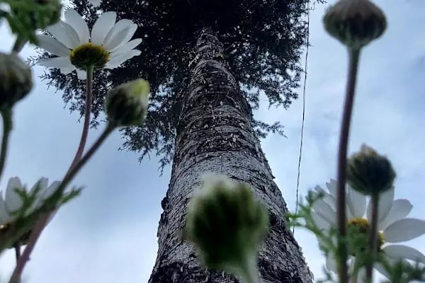 Geriş Köyü Parkı - Resim 3