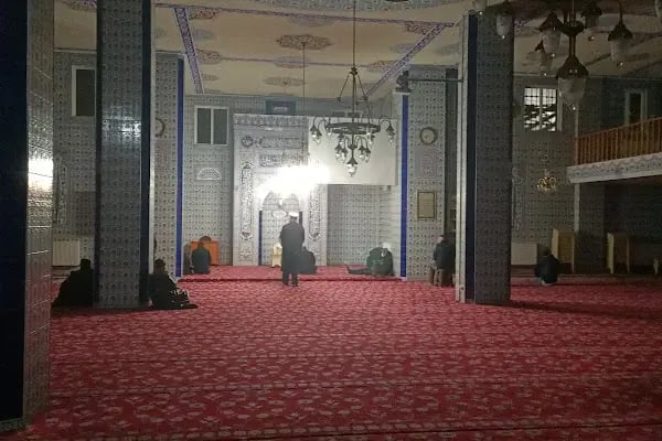 Hazreti Osman Zinnureyn Cami - Resim 19