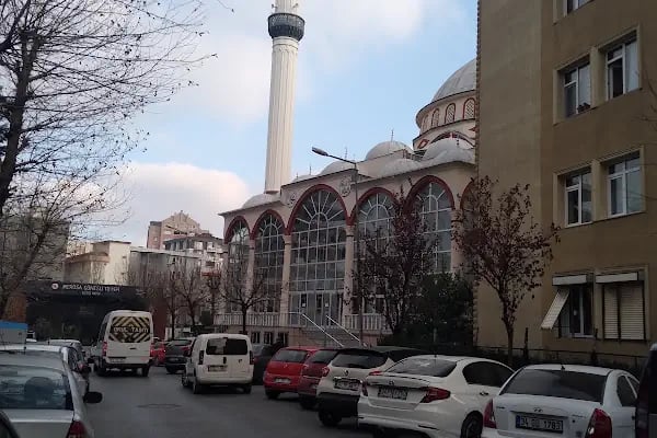 Hazreti Osman Zinnureyn Cami - Resim 16