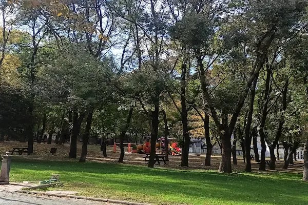 bursa kulturpark - Resim 15