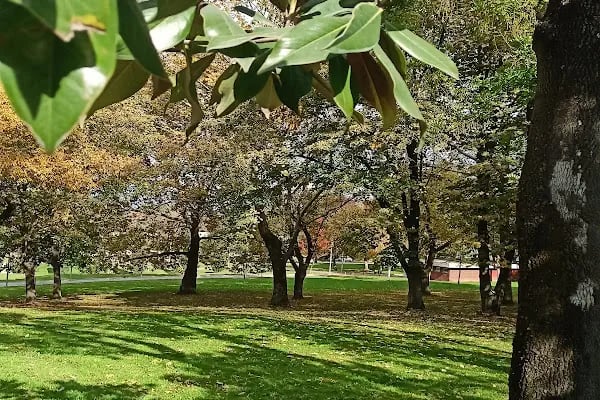 bursa kulturpark - Resim 8