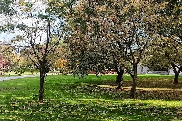 bursa kulturpark - Resim 5
