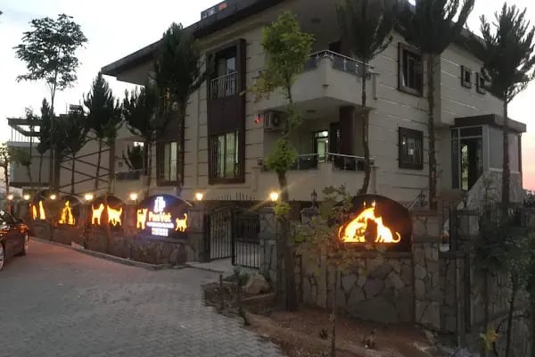 PanVet Gaziantep Veteriner Kliniği - Resim 6