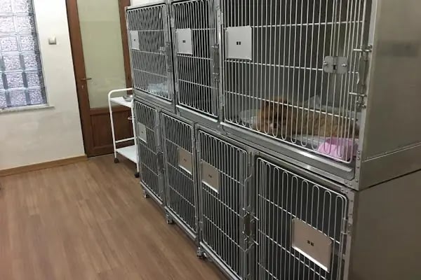 PanVet Gaziantep Veteriner Kliniği - Resim 4
