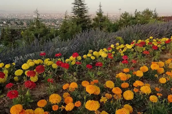 Selçuklu Seyir Tepesi - Resim 8