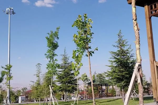 Selçuklu Seyir Tepesi - Resim 12